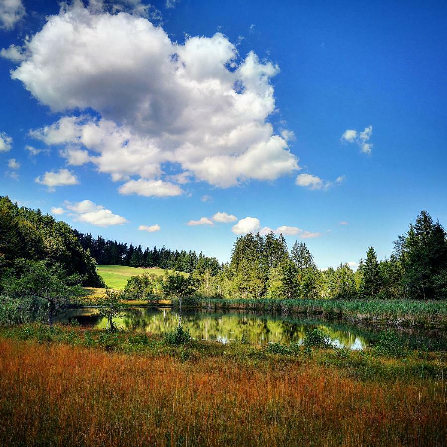 Ferienhof Margarethengut อุนเทอาค อัม อัทเทอร์ซี ภายนอก รูปภาพ