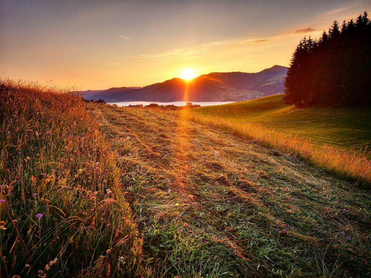 Ferienhof Margarethengut อุนเทอาค อัม อัทเทอร์ซี ภายนอก รูปภาพ
